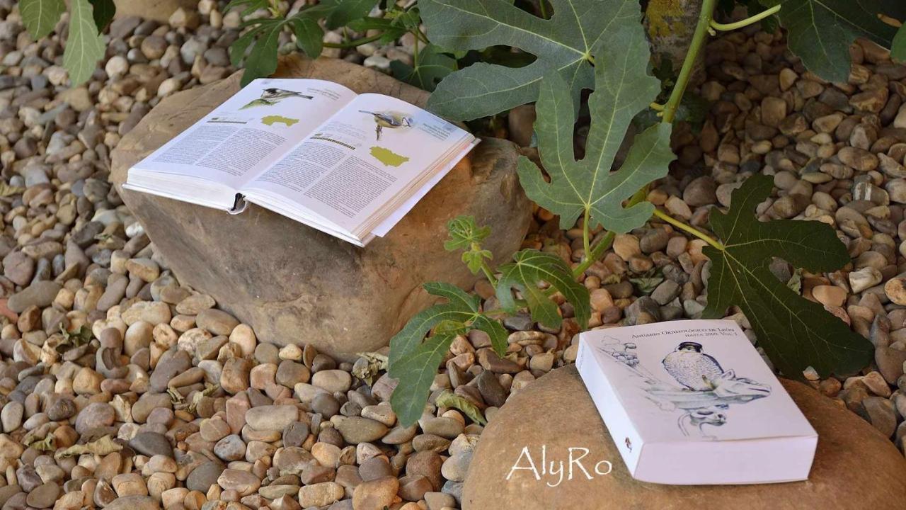 El Vallin De Lan Cerezales del Condado Εξωτερικό φωτογραφία